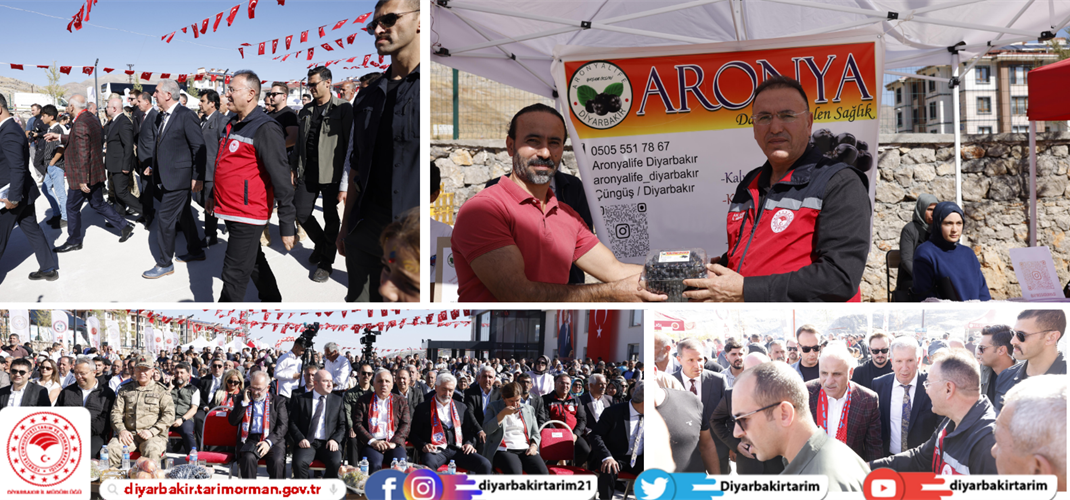 Çüngüş Bağ Bozumu Festivali Coşku ve Bereketi Bir Araya Getirdi