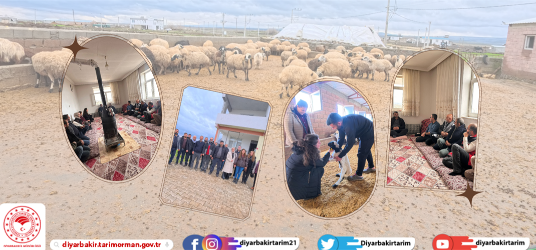 DERİM Projesi Uygulamaya Geçti