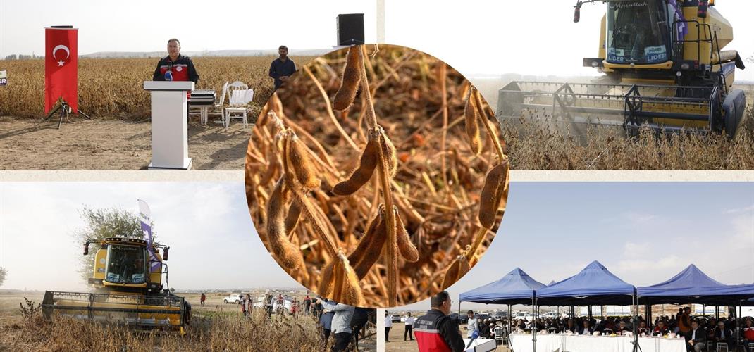 Diyarbakır'da TAKE Projesi Kapsamında İkinci Ürün Soya Hasadı Başarıyla Gerçekleştirildi