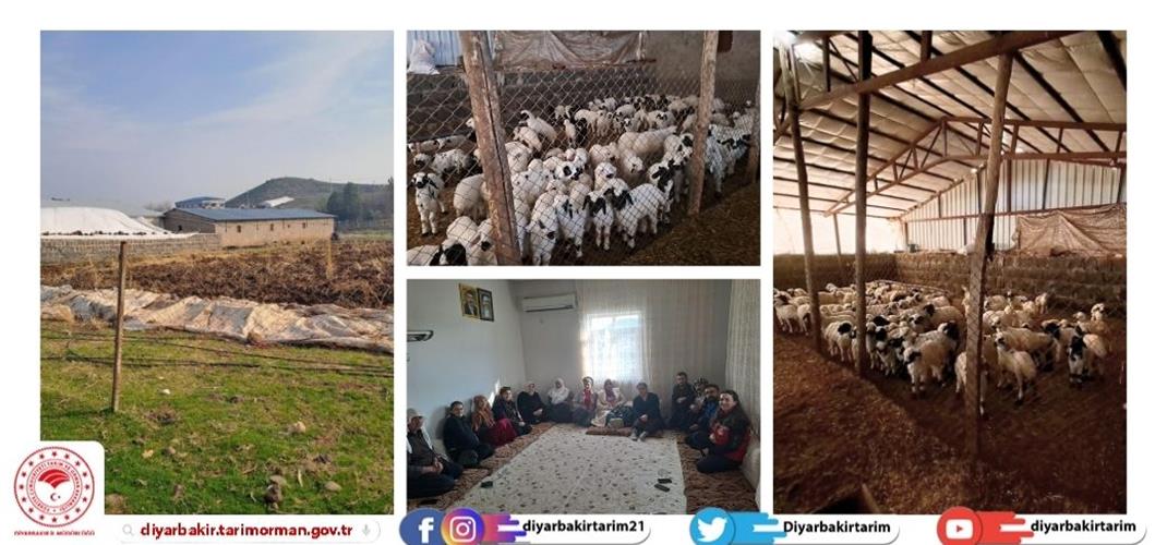 Diyarbakır’da Çiftçi Eğitimine Yenilikçi Model Derim Projesi Başladı