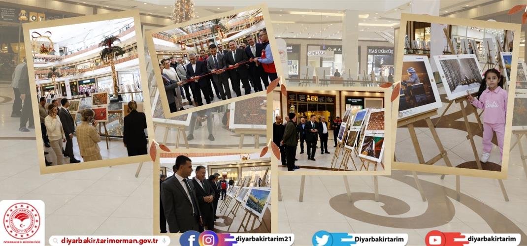 Uluslararası Tarım Orman ve İnsan Fotoğraf Sergisi Diyarbakır’da Yapıldı
